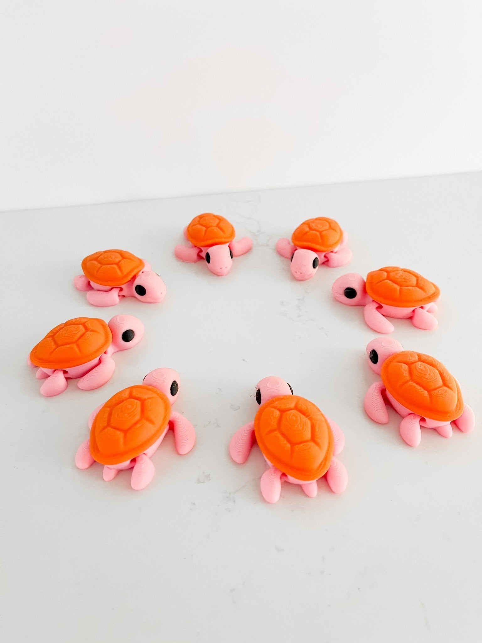 Baby Turtle - MYSTERY color