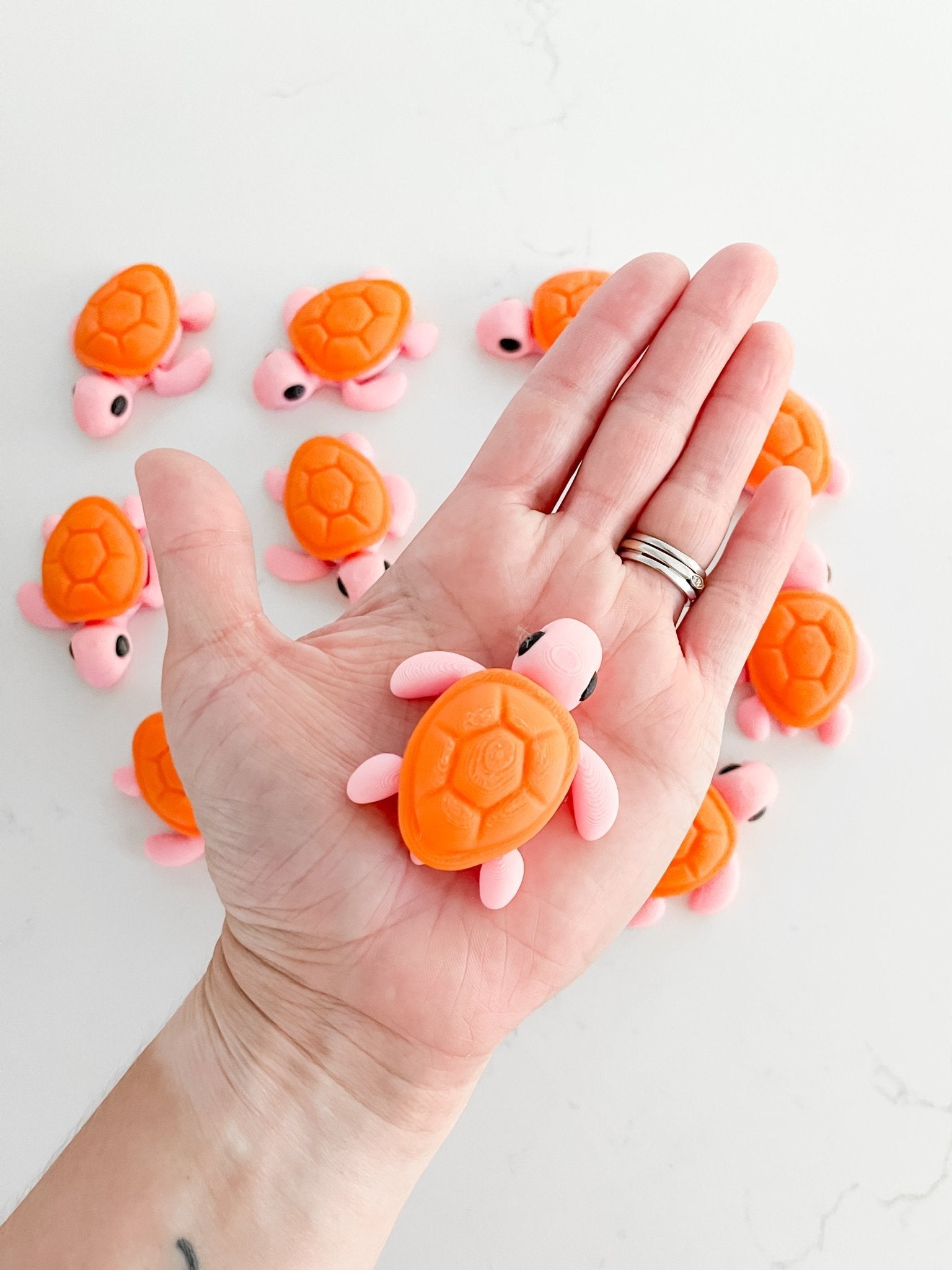 Baby Turtle - MYSTERY color